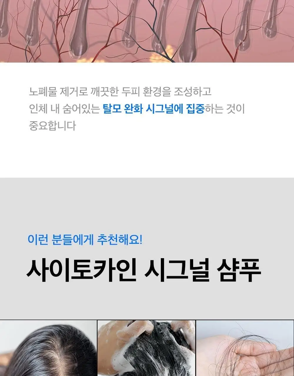[탈모증상개선] 리필드 사이토카인 한/중/미 단독 특허 탈모샴푸 380ml 3종 택 1 상세페이지 8